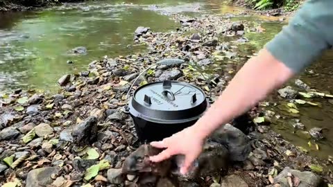 Camping Dutch Oven chicken cooking🔥❤️❣️