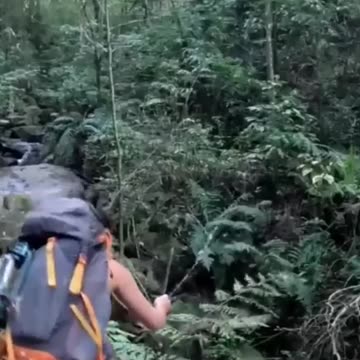WILD CAMPING SOLO BUSCRAFT SURVIVAL