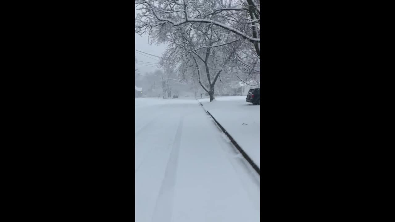 Raw Video (4) - March 3, 2023 Snowfall in Kalamazoo, Michigan