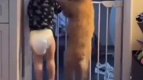 Funny animal!!
