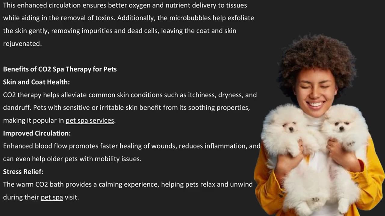 CO2 Spa Therapy: A Soothing Solution for Pet Wellness — Know More