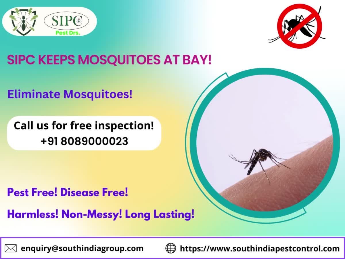 Mosquito Control Bangalore