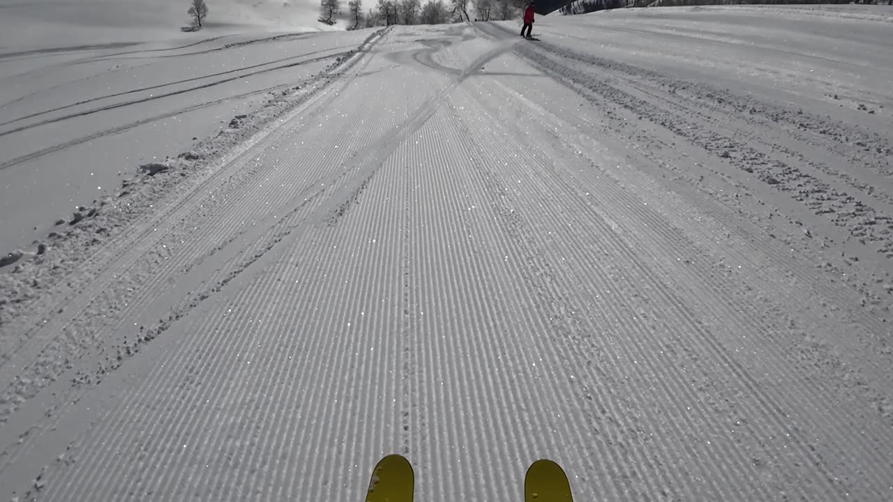3/1 3rd run down MB