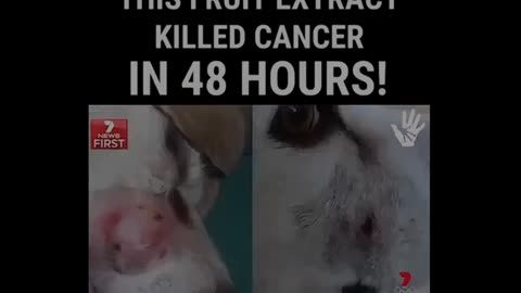 Promising New Cancer Cure