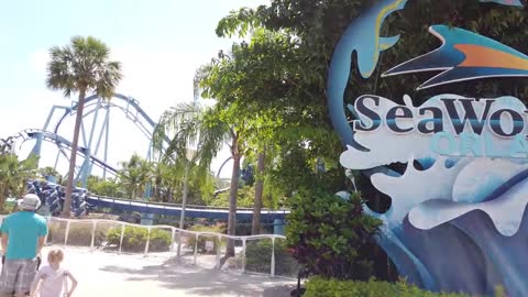 Top Things to Do at SeaWorld Orlando You Can’t Miss!