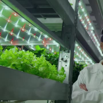 Developing Systems To Improve How Food Is Grown With Josh Imhoff Of Emerge Aquaponics