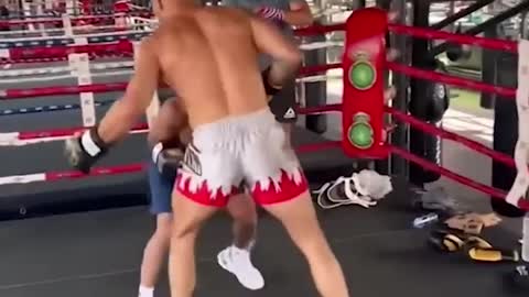 Andrew Tate Drops Sparring