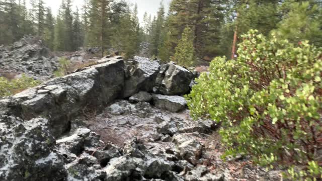 Central Oregon – Edison Sno-Park – Hiking Over Volcanic Rocks – 4K