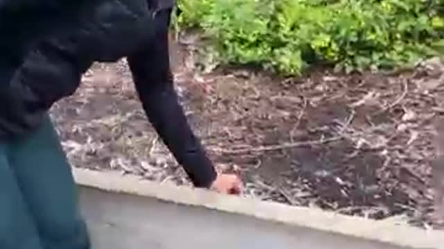 Every creature cares