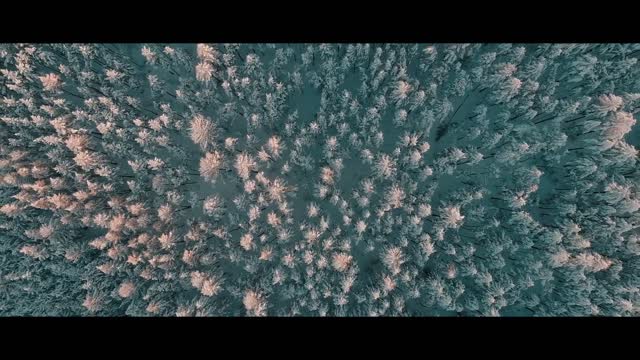 MONGOLIA | Cinematic