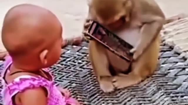 How a monkey is🦍 taking the mobile 📱from the child'👶 hand