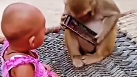 How a monkey is🦍 taking the mobile 📱from the child'👶 hand