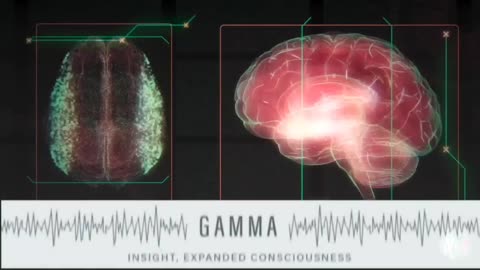 THE ELECTRIC PINE CONE|Pineal Gland {Neuroendocrine Transducer}