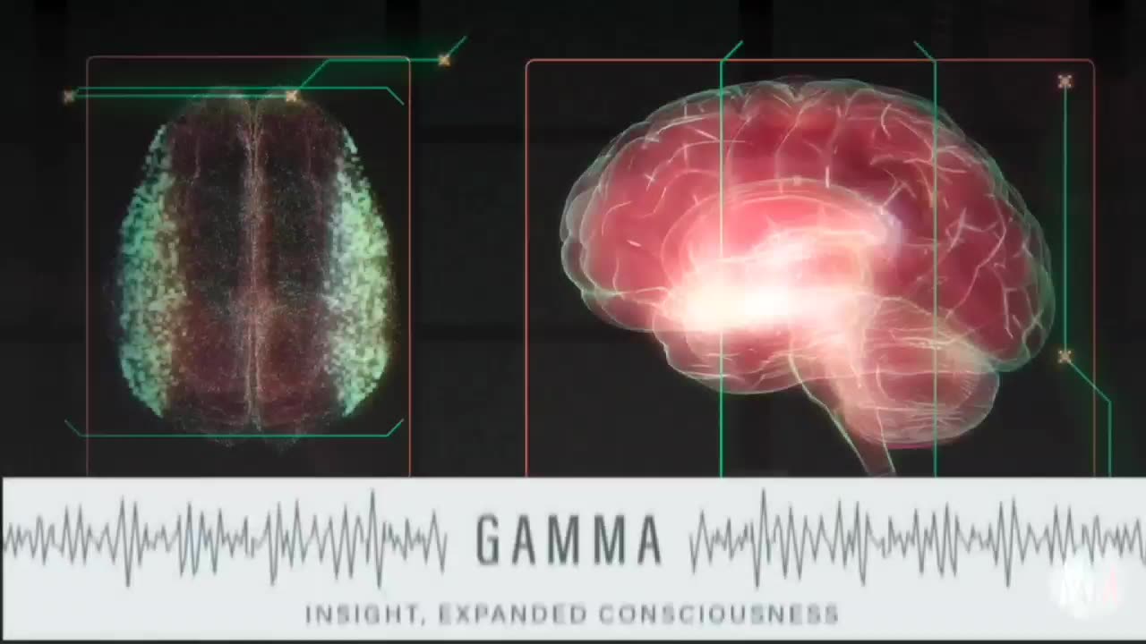 THE ELECTRIC PINE CONE|Pineal Gland {Neuroendocrine Transducer}