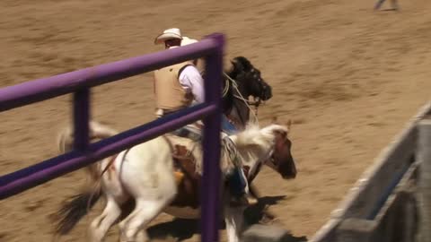 Bareback Bronc Riding At Rodeo