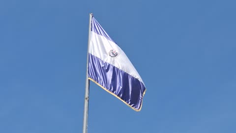 salvador flag