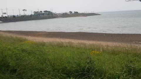 windy beach