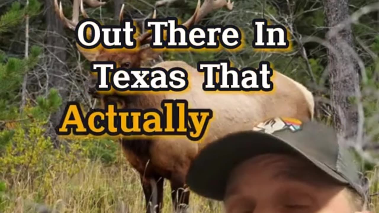 Laws on hunting Elk in Texas