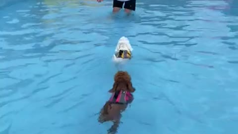 First time swimming skills