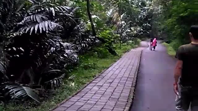 Jungle Park Ir H Juanda Bandung west java Indonesi