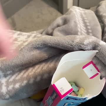 Parrot tries to stop mom from eating candy