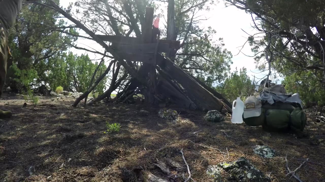 Sleeping in the dirt