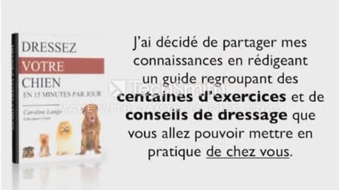 Tuto Comment dresser son chien 🐶 🐾 ( tutoriel )