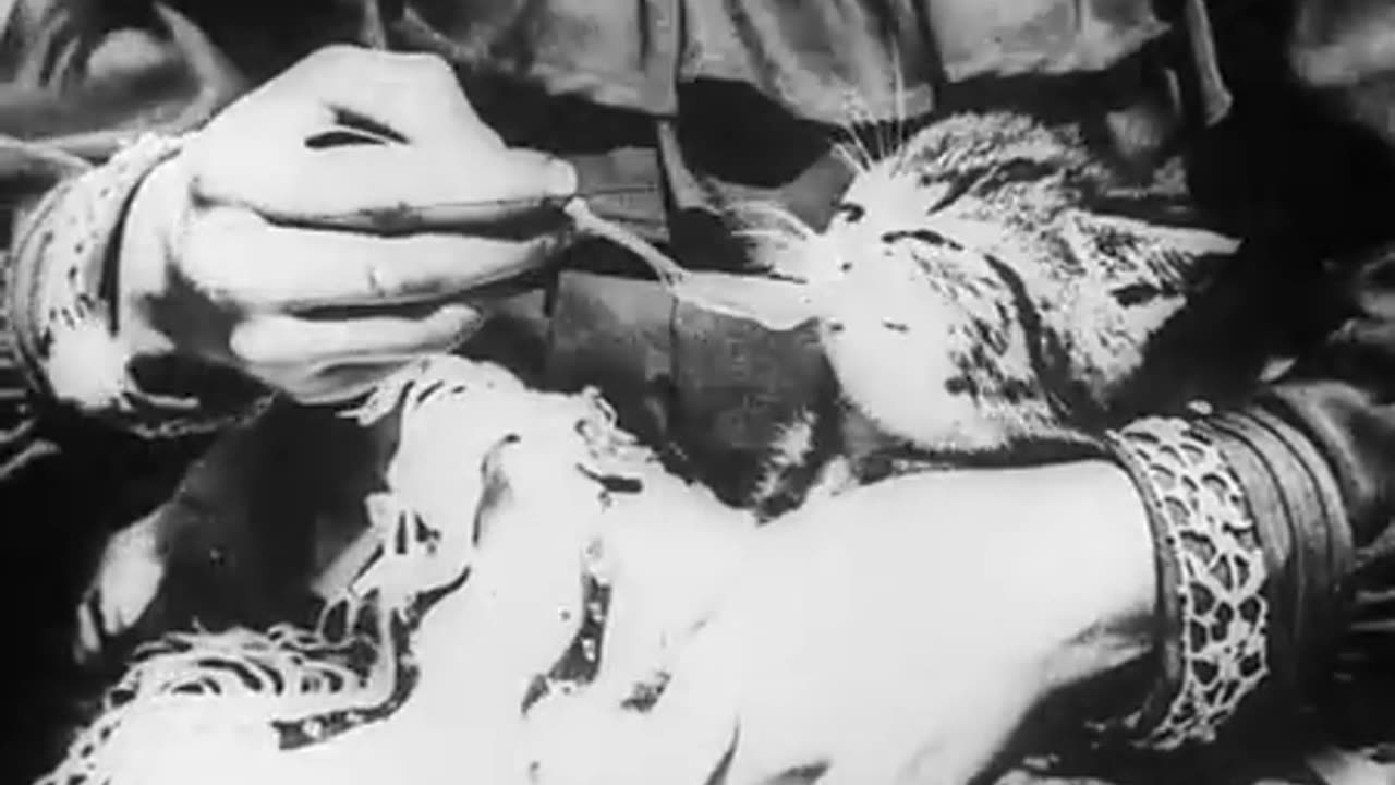 The Sick Kitten (1901)