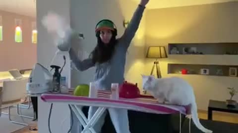 The crazy DJ and the light cat