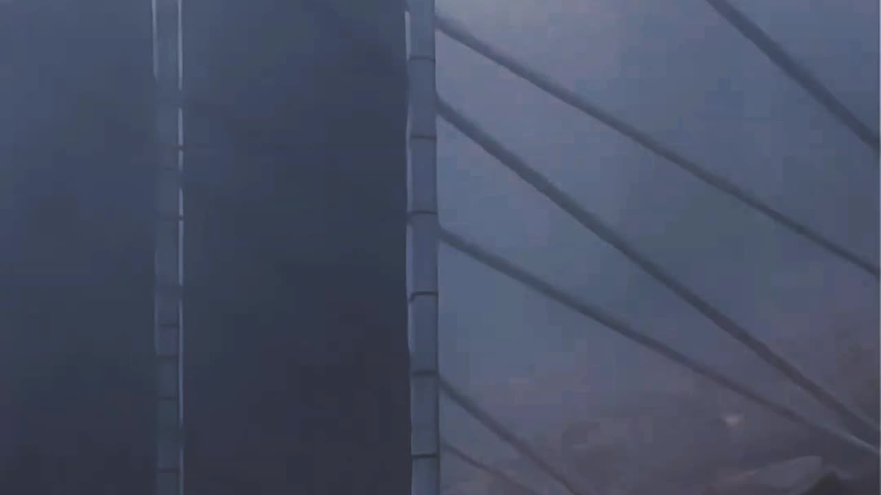 Fog harvesting