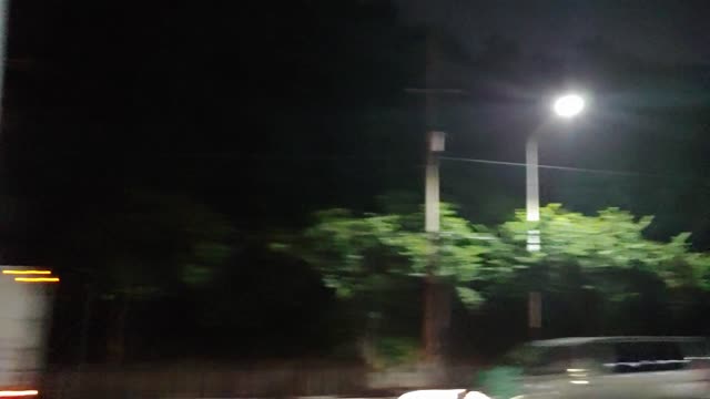 Tree road night view