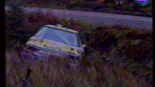 MS Rallye 1991 - souhrn