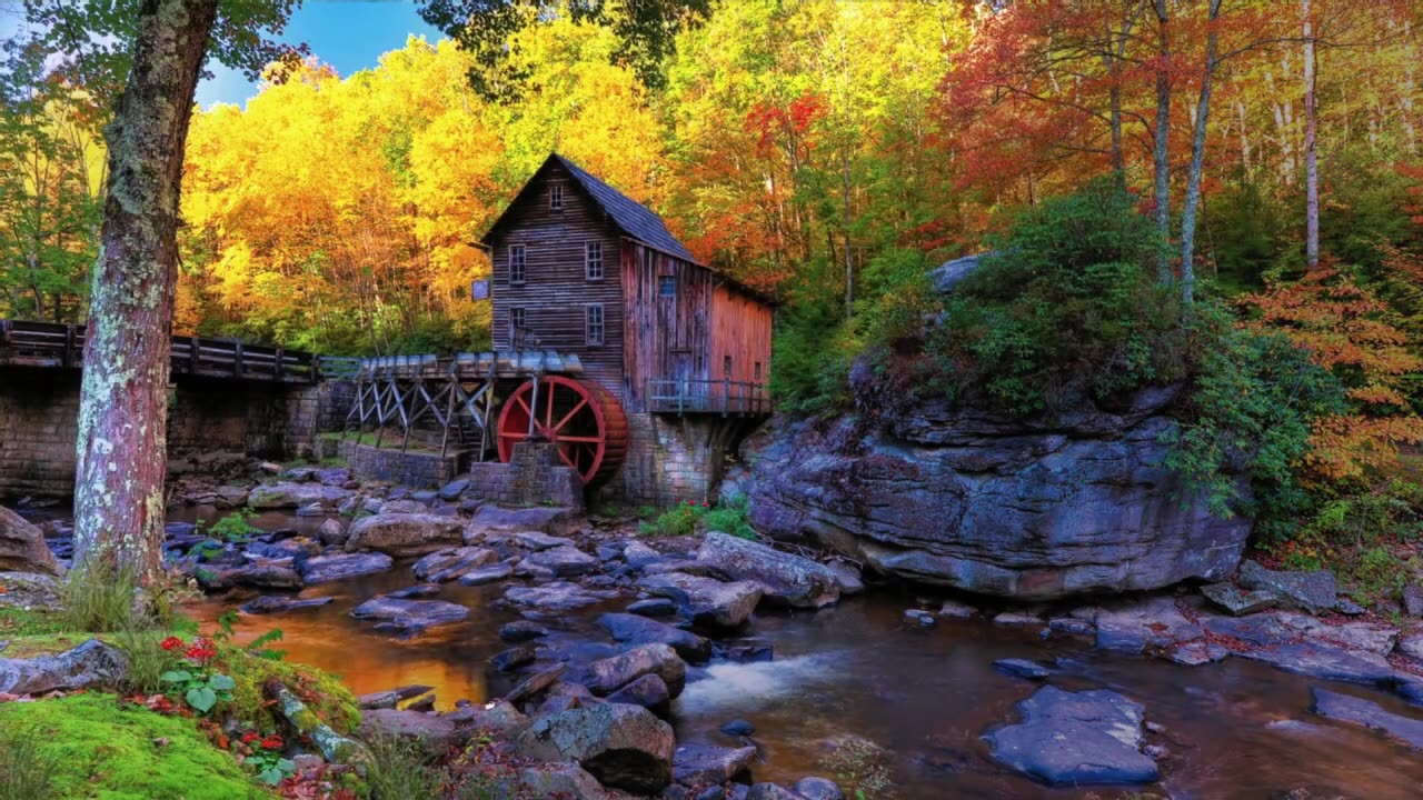 Study and relax to the sound of nature