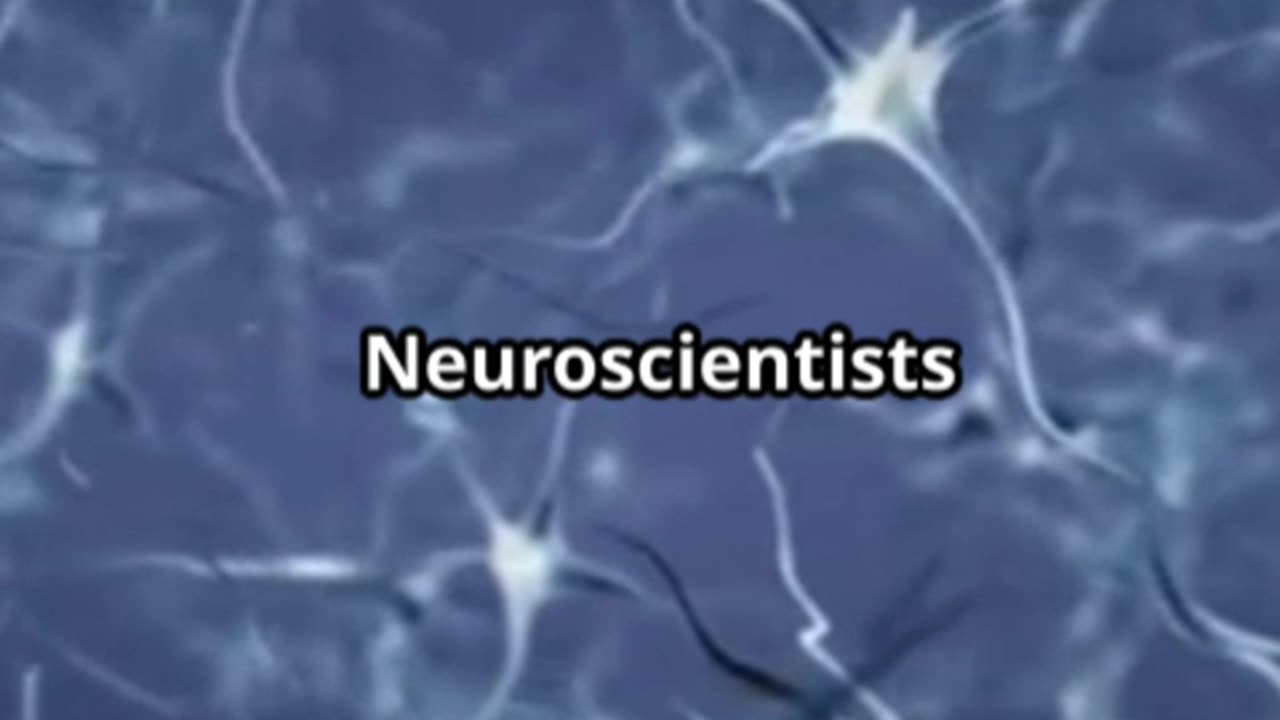 The brain's mysteries