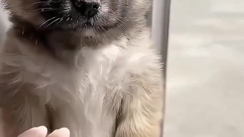 Very funny reel