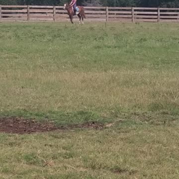 Cantor with a little buck