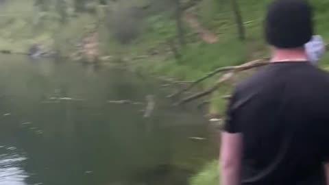 How about you give it a rest