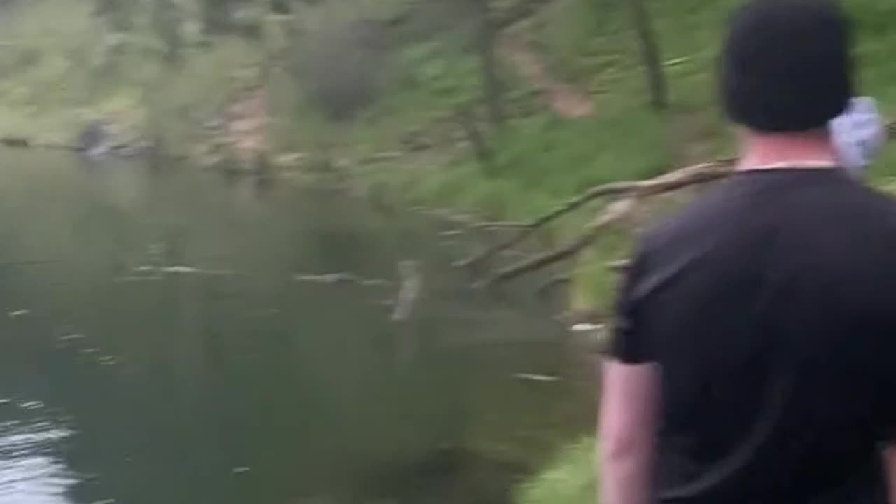 How about you give it a rest