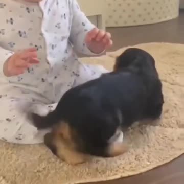 What a couple of friends