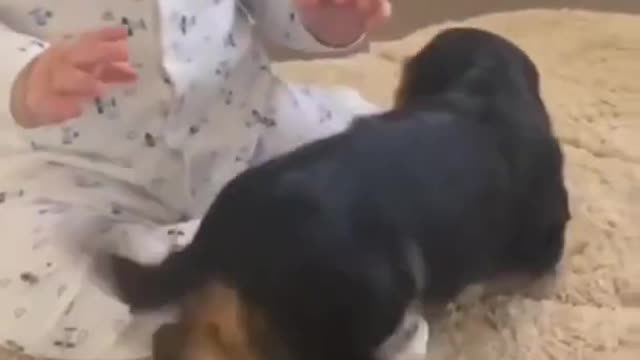 What a couple of friends
