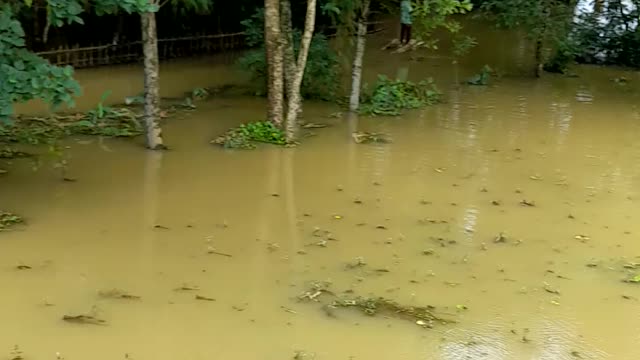 Natural flood