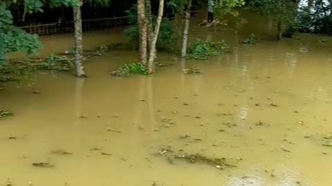 Natural flood