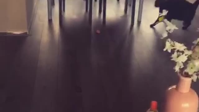 Black cat plays with ball of paper on wood floor below table