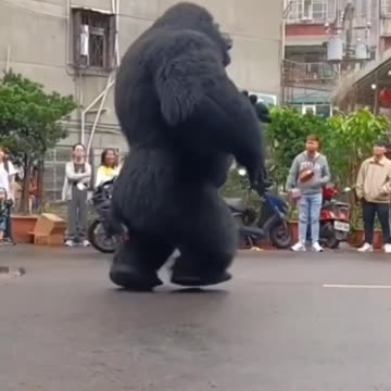 king kong 🦍😂😂😂 then restart