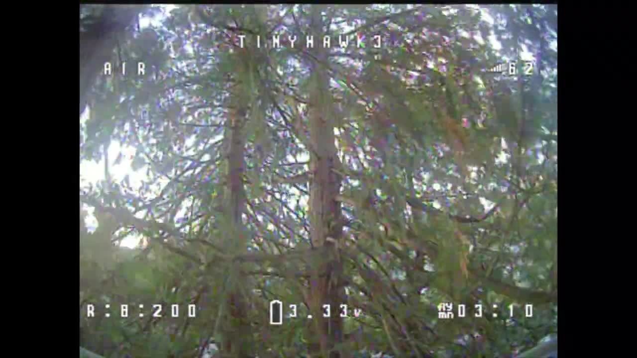 Cute Dog STEALS my FPV drone while doing tree acro freestyle. Includes ghost branches camera tests