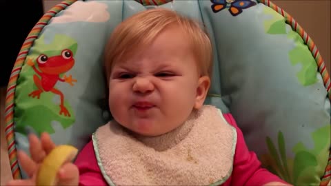 funny babies reaction eating lemon