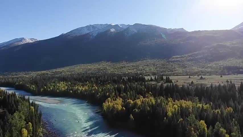 Magnificent rivers in the canyon traverse the forest