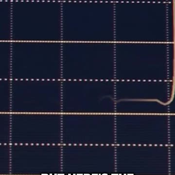 10 Things to Eliminate for a Successful Life: Happiness Trap Unveiled