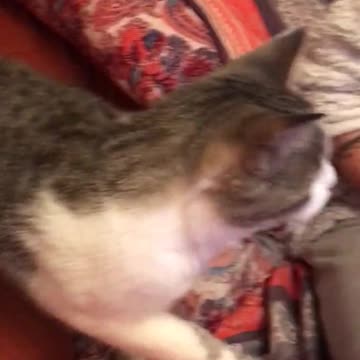 She won't come out from under the covers.