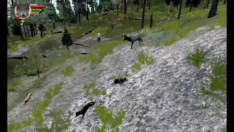 WolfQuest AE Elk Round Challenge - 16